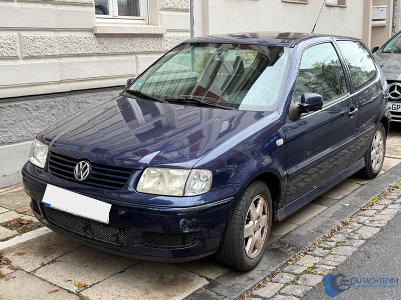 Gutachten Fahrzeugansicht - Seitenschaden